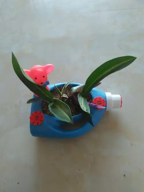 洗衣液瓶diy花盆啦!