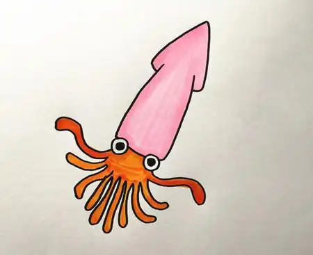 乌贼怎么画简单又好看 中级简笔画教程-第1张