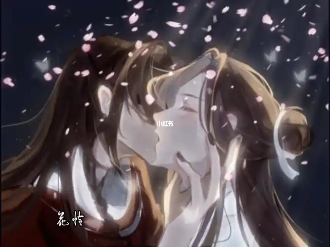 天官赐福花怜真的很绝呀