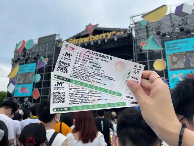 大型蹦迪现场  #武汉草莓音乐节