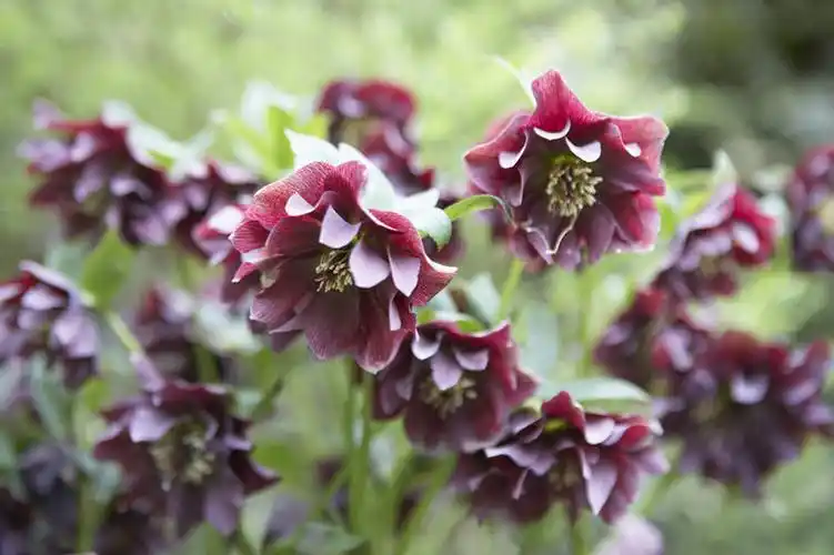 人文,风景,休闲