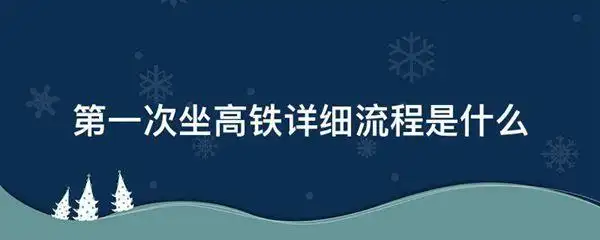 第一次坐高铁详细流程是什么图片