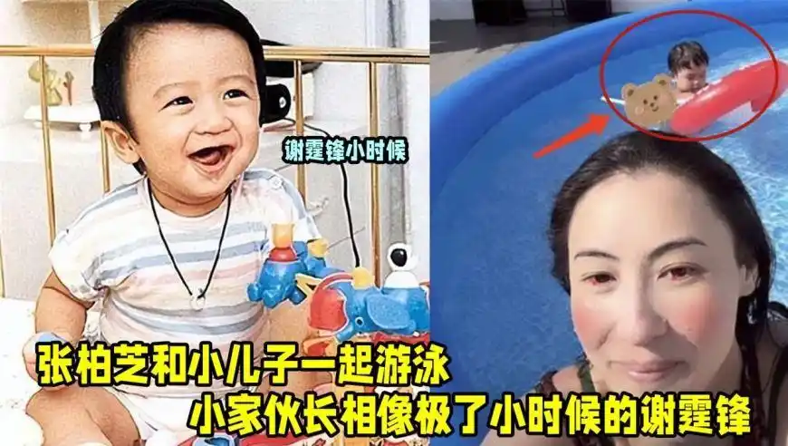 张柏芝三胎儿子长相首次曝光,像极了小时候的谢霆锋,生父身份仍是个谜
