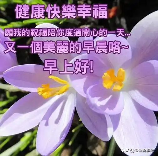 赞美友情的句子唯美