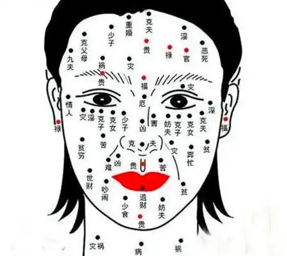 面相痣图解大全,脸上长痣解析  1,大吉痣 痣又大又黑,非常好,无论男女