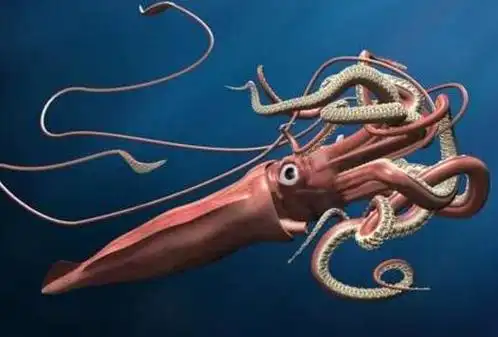 有些海员宣称看到过20米长的乌贼横扫甲板,因此它可以算是人类已知的