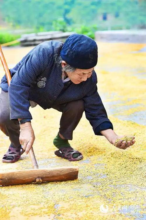 人民网关注达州农村留守老人问题