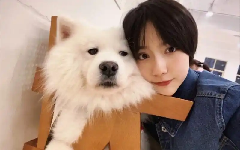 【成果】狗哥最新照片快来看看吧