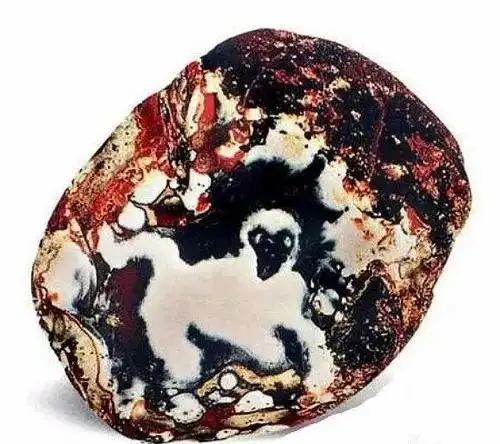 色彩很艳丽……而最重要的是石头上面竟然有一个天然形成的动物图案