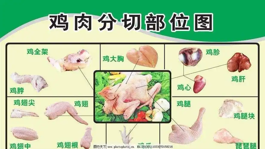 鸡为什么有那么多的鸡翅