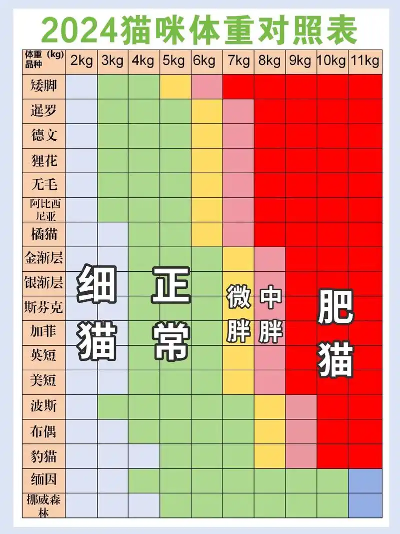 猫咪体重对照表!快看你家崽子超重了吗