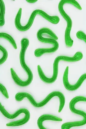 diy homemade gummy worms