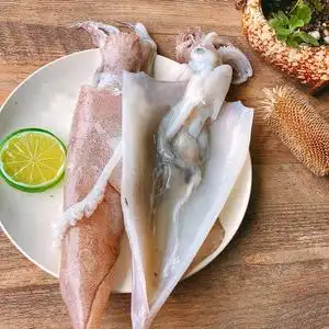 活鱿鱼鲜活图片