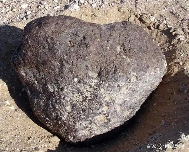 传说中的"月球陨石"