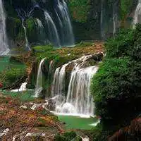 最聚财头像图片大全_微信头像图片大全