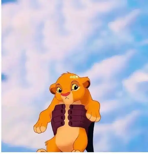 全红婵妹妹的辛巴举