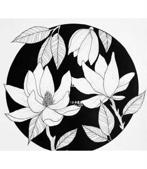 线描花卉黑白装饰画 线描花卉黑白装饰画一盆花