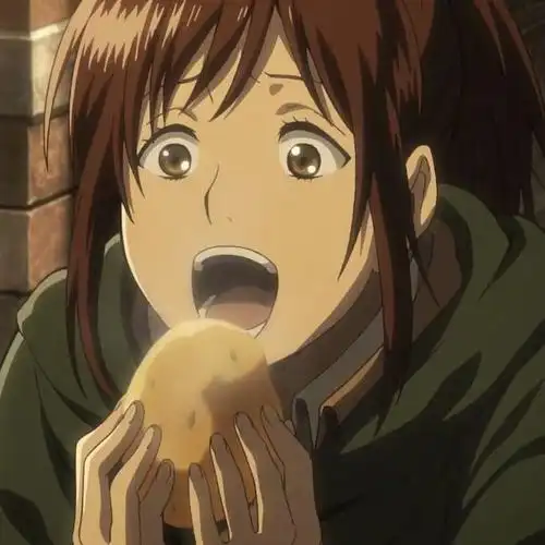 艾斯《海贼王》  3.织田作之助《文豪野犬》