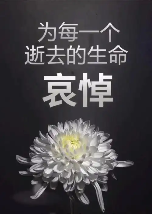 【洛小·德育】时光终将逝去,而他们从未离开——洛