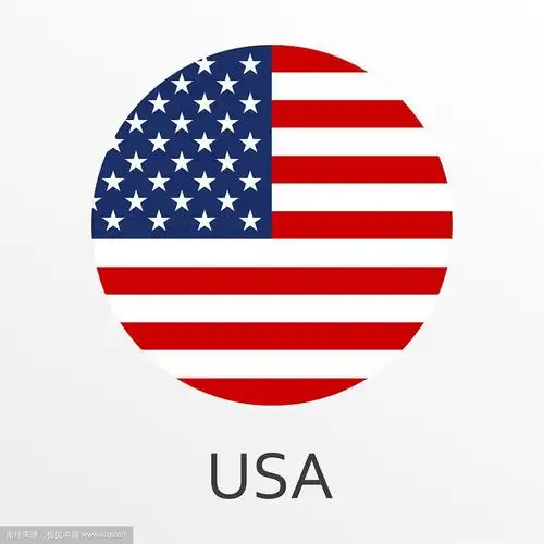 美圈按钮.美国的国家的象征.矢量插图.