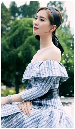 刘诗诗美图壁纸姿态端庄典雅气质优雅贵气