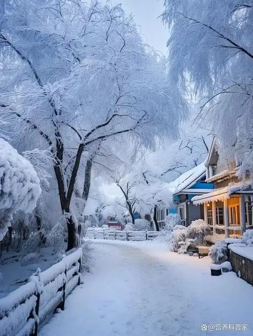 从未见过的冬天雪景