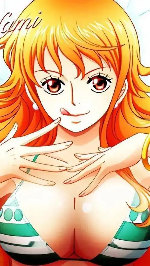 海贼王壁纸|少儿不宜.