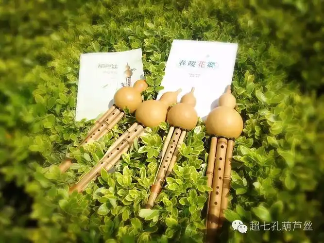 『乐器介绍』超七孔葫芦丝知多少