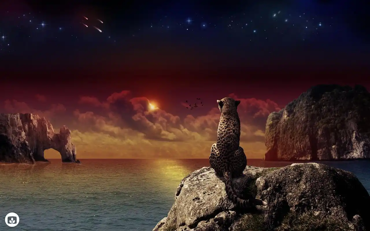 精美设计高清电脑桌面主题壁纸图片下载(十)