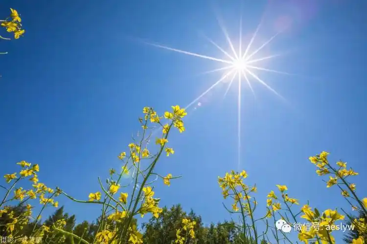 天气晴好,道路畅通,阿尔山景区平稳运行
