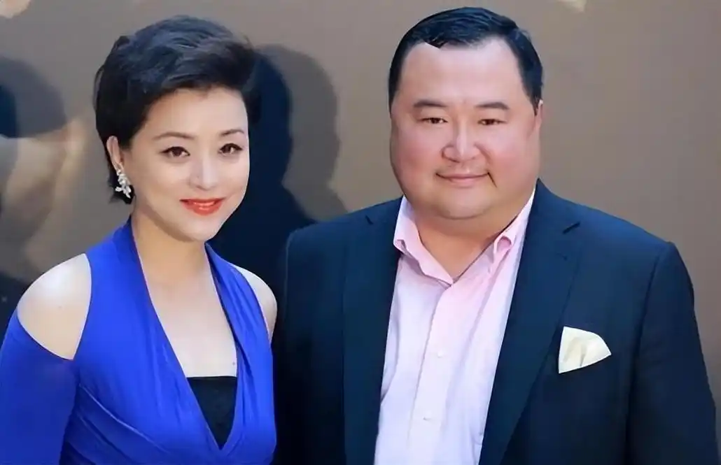 回顾杨澜我与老公早已无爱若再在一起对彼此都是很不公正的