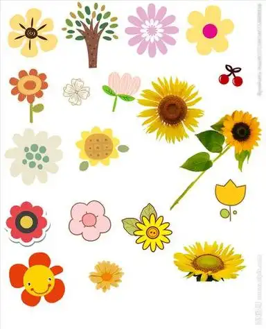 正文,小花简笔画图片带颜色第1/2组各种小花的画法在这里画法超详细