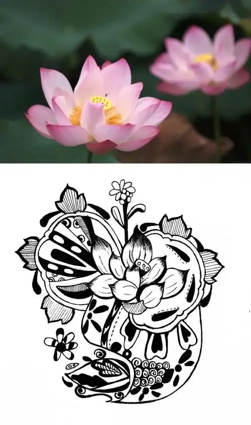 装饰与图案课程 作业展示