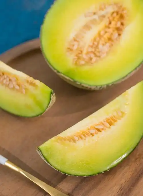 蜜瓜产出甜蜜生活