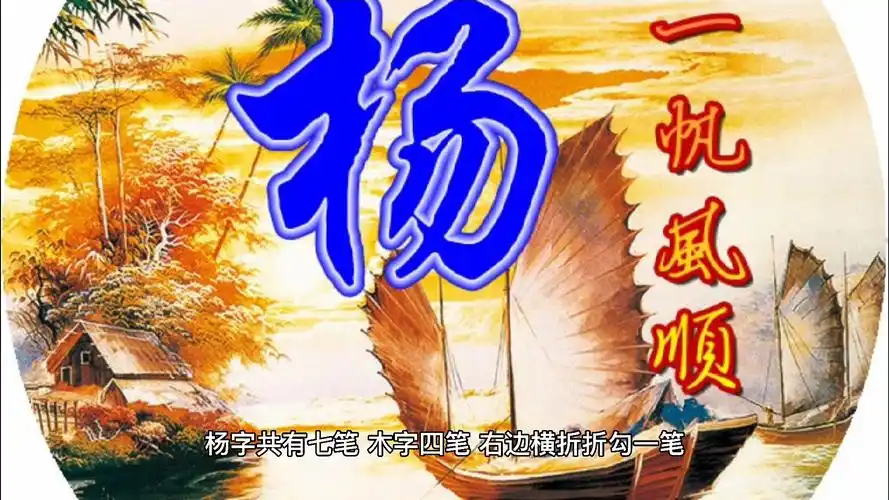 杨字一共有几笔?