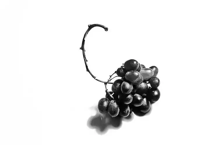 葡萄,黑葡萄,白色背景,桌子,黑白,影子_高清图片_全景视觉