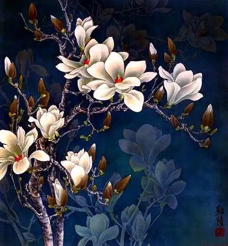 精美工笔画欣赏玉兰花