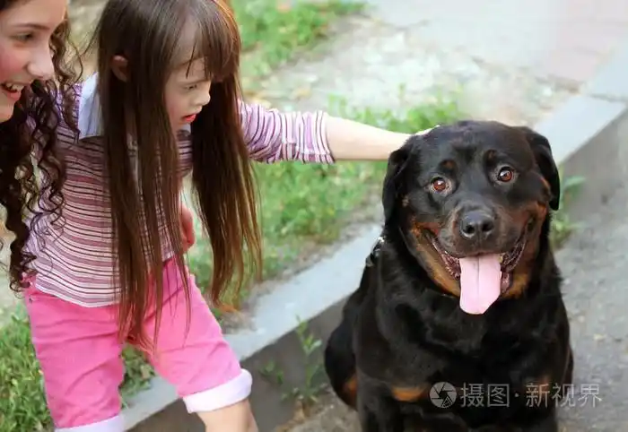 小女孩用一条大黑狗