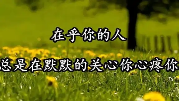 在乎你的人总是在默默的关心你心疼你