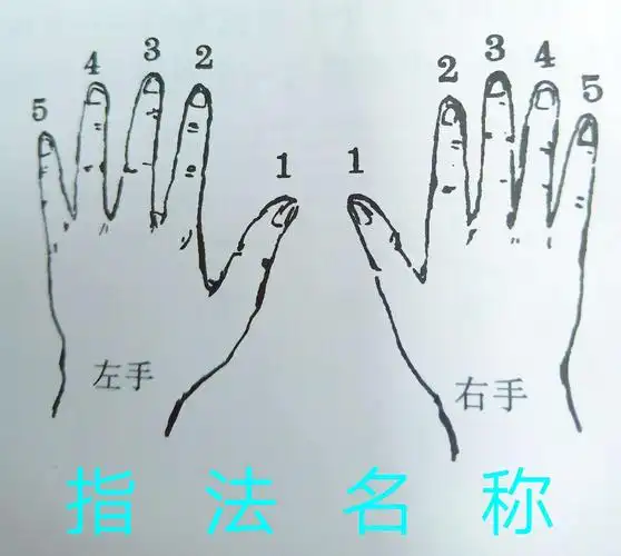 我的电子琴学习笔记(002)