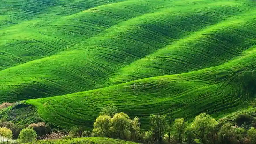 电脑桌面图片唯美(82张护眼电脑桌面壁纸)_闪电家修网