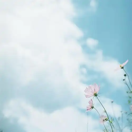 双子座的人往往喜好新鲜事物他们有着小聪明