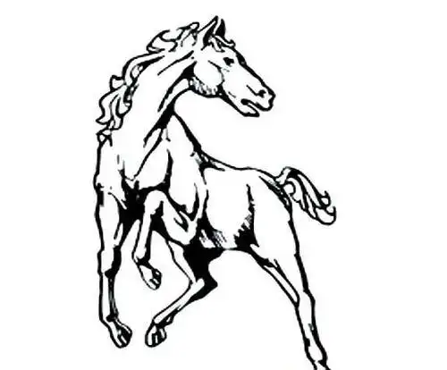 画大图骏马的简笔画画法用粉笔简笔画画马该怎么画儿童简笔画马的画法