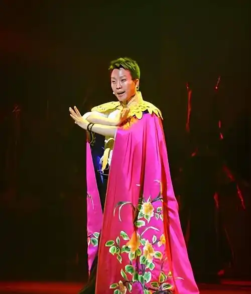 范小宁_舞台_机会