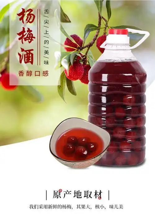 杨梅酒5斤装高度粮食酒侵泡浙江特产农家梅子酒侵泡杨梅酒果酒30度5斤