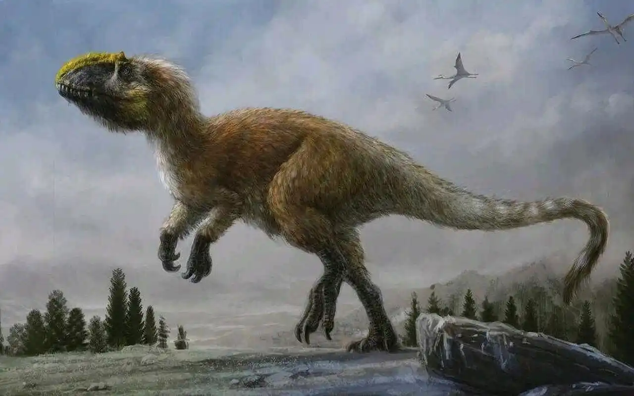 华丽羽王龙(yutyrannus huali) 长有羽毛的恐龙之一,又称:"美丽的羽毛