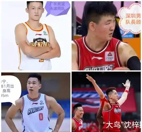 希宁_防守_周鹏