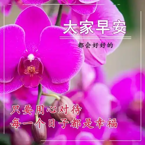 最美新版大家早上好表情大全,深深祝福,平安是福!_生活_阳光_人生路