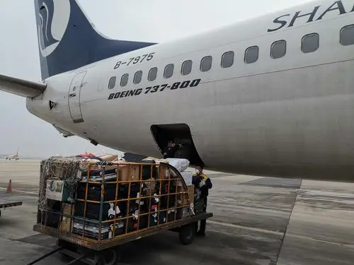 工作;营销委武汉营业部提前组织人员集结,统一货物,行李及物品标识