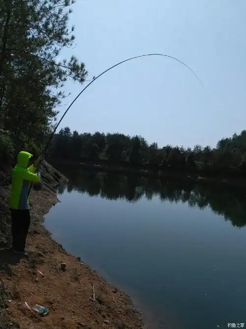 跟徒弟水库爽钓鲢 化氏饵料钓鲢鳙鱼 - 钓鱼之家